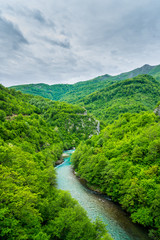 Fototapeta na wymiar Montenegro, Turquoise clean water of moraca stream flowing through green paradise nature landscape of famous moraca canyon