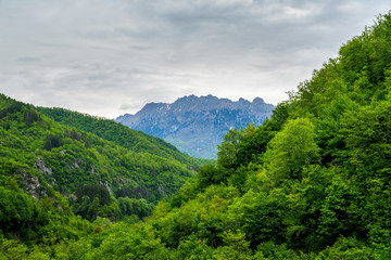 Fototapeta na wymiar Montenegro, High mountains covered by snow behind green forest of moraca canyon near kolasin