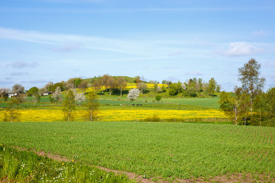 Landscape with fields and a hill in the countryside
