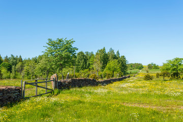 Stone wall with a gate in a flower meadow