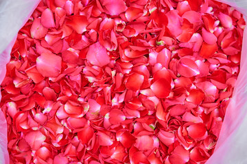 Red roses petals background.