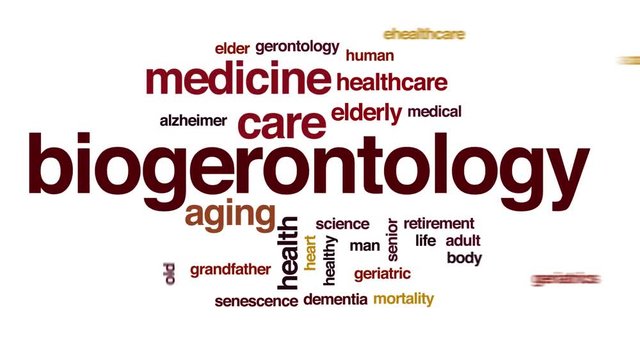 Biogerontology animated word cloud. Kinetic typography.