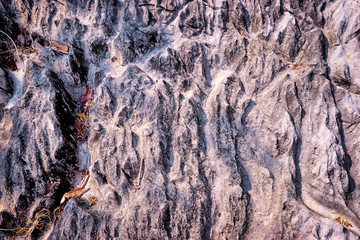 Textured rock stone background.