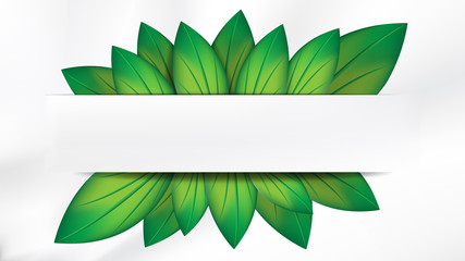 Abstract realistic green leaves with white banner on white background, with copy space for text. EPS10, vector, illustration.