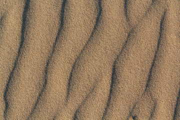 Beach Sand texture for background. Top view