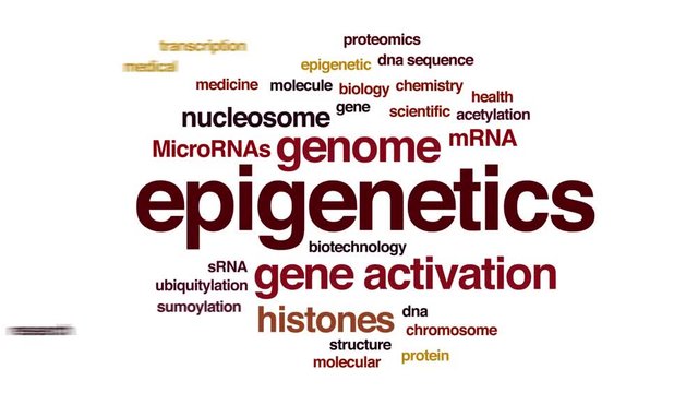Epigenetics animated word cloud. Kinetic typography.