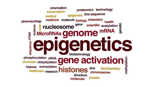 Epigenetics animated word cloud. Kinetic typography.