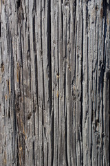 An old post from wood closeup. All in cracks