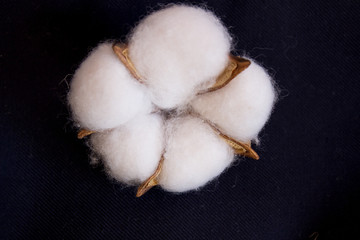 Artificial white cotton on a dark background