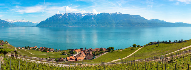 Panoramic view of vineyards in Lavaux region, near Vevey, over Lake Leman (Lake Geneva), Canton of...