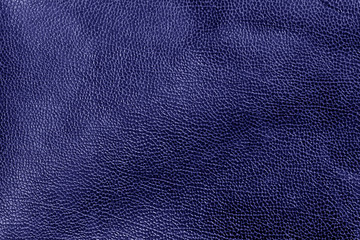 Weathered leather texture in blue tone.