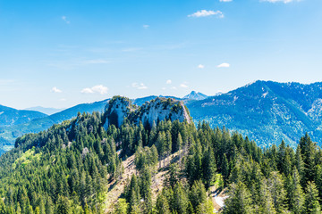 Scenic alpine spring landscape with forest trees