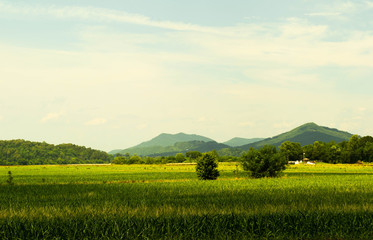 plains leading into mountains in Tennessee