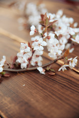 Obraz na płótnie Canvas cherry blossom twig on wooden background one
