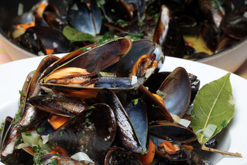 In Weissweingemüsesud gegarte Miesmuscheln