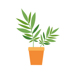 Fototapeta premium houseplant with potted isolated icon