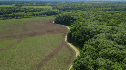 Meadow and forests in South Russian area in summer time