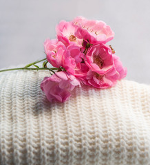 Pink roses on a soft white sweater