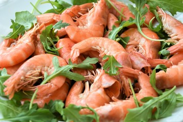 red boiled shrimps and fresh leaves of arugula
