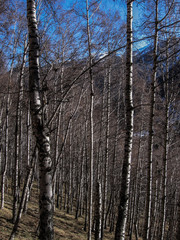 Almaty Mountains