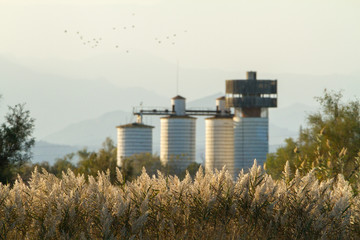 Cereal silos converted into a bird observatory in the Ampurdá marshes