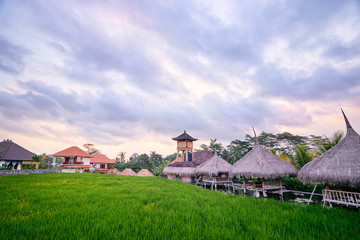 Fototapeta na wymiar Beautiful landscape with green rice field and houses. Bali, Indonesia.