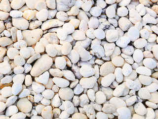 white pebbles stone background