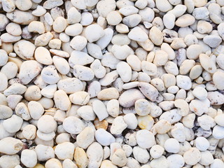 white pebble stones background