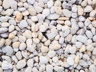 white pebble stones background
