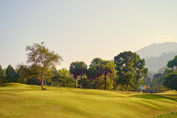 Landscape with green trees and golf field.