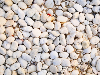 white pebbles stone background , smooth stone texture
