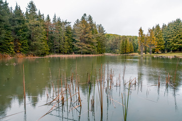  Beautiful forest in a small lake in Opakua, Basque Country, Spain