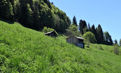 montagne...randonnée