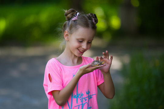 Cute caucasian child girl holding and playing with turtle with curious and fun. She is not scared to hold it on hand