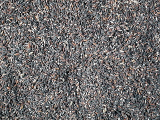 organic grain rice healthy food