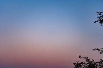 Colorful clear sky without cloud at twilight time before sunrise. Colorful clear sky with no clouds at dusk after sunset