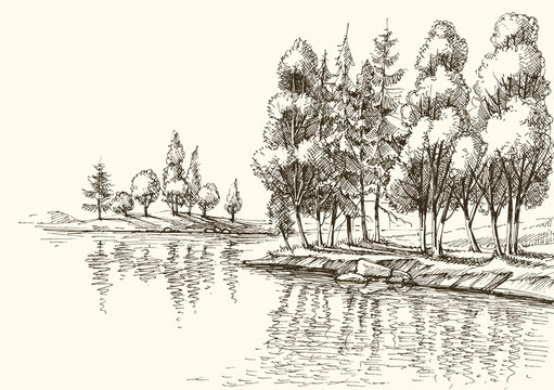 Trees on lake shore or river bank vector drawing
