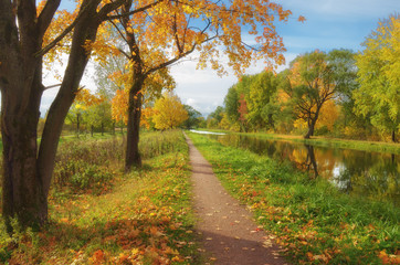 Obraz premium Autumn landscape in the Park.