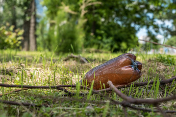 Garbage in nature, Big plastic bottle dumped on the grass in the park polluting the nature and environment with garbage and junk