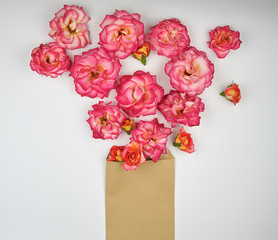 blooming buds of pink roses and brown envelope