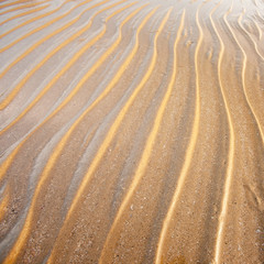 Texture wavy sand beach in summer.