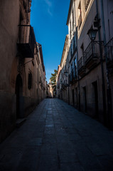 Fototapeta na wymiar Calle estrecha antigua empedrada con casas y balcones en Salamanca