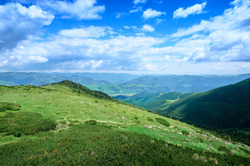 Naklejka na ściany i meble Beautiful mountains landscape with green meadow. Carpathians, Ukraine.