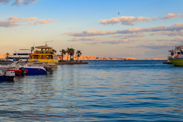 Obraz premium White yachts in the sea harbor of Hurghada, Egypt. Port with tourist boats on the Red Sea