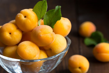 Image with apricots.