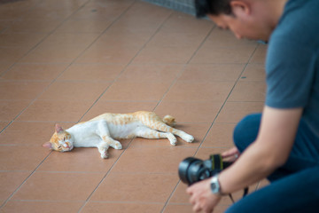 A man photograph lazy cat sleeping on the ground. - 271467941