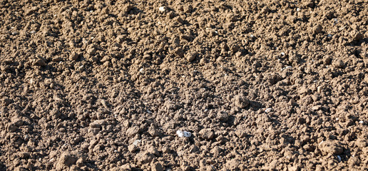 background of brown plowed land before sowing in spring
