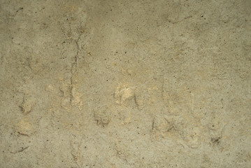 footprints in the sand background 