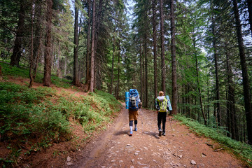 Fototapeta premium Rear view of two young people walking down the trail path on forest. Young couple hiking with backpacks.