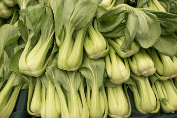 Bunches of bright green bok choy at the farmers market